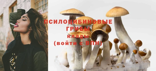 кокаин колумбия Заводоуковск