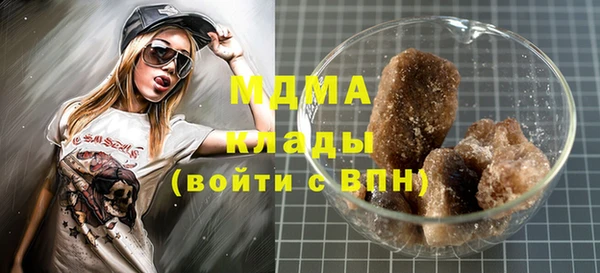 PSILOCYBIN Ельня