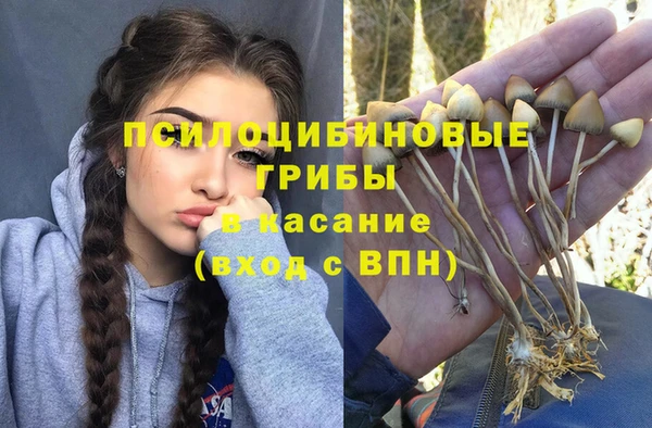 амф Заволжье