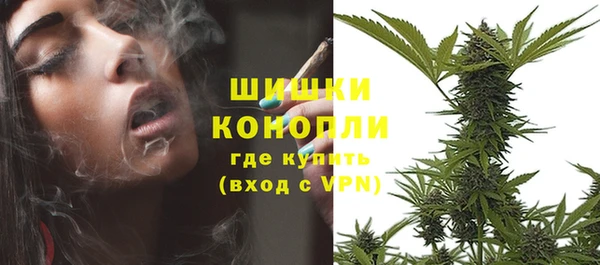 амф Заволжье