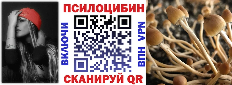 Галлюциногенные грибы мухоморы  купить наркоту  Петухово 
